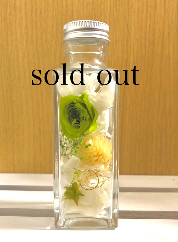 送料無料]No.31 グリーン＊ハーバリウム ハーバリウム・植物標本 miibi  