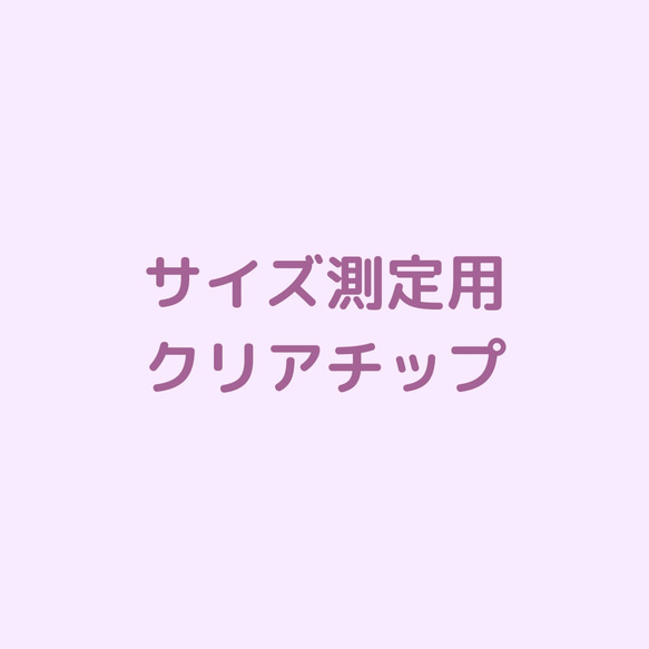 サイズ測定用クリアチップ 1枚目の画像