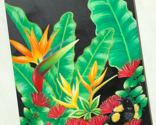 ハワイアンチョークアートで描いたハワイ固有の鳥オーオー