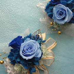 プリザーブドフラワー☆おしゃれコサージュ・髪飾り/☆(オレンジ系) 卒