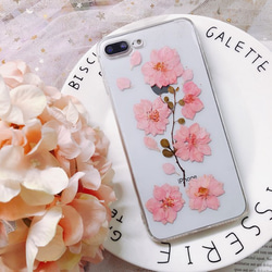 ピンクの桜の束 iPhoneケース 押し花ケース iPhone14 iPhoneX/Xs iPhone12/8plus 4枚目の画像