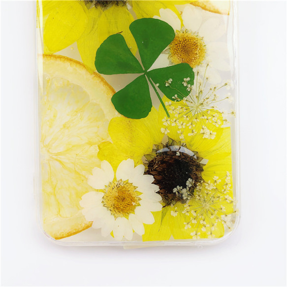 果物とひまわり iPhone12/SE2/Xperia5II/GALAXYA51  押し花ケース iPhoneケース 3枚目の画像