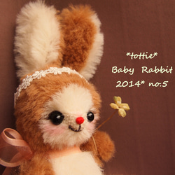 Baby Rabbit　**　tottie  ** 1枚目の画像