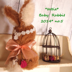 Baby Rabbit　**　tottie  ** 2枚目の画像