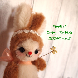 Baby Rabbit　**　tottie  ** 3枚目の画像