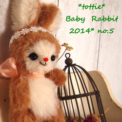 Baby Rabbit　**　tottie  ** 4枚目の画像