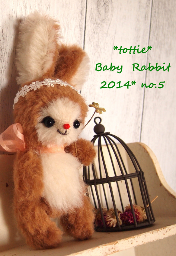 Baby Rabbit　**　tottie  ** 4枚目の画像