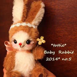 Baby Rabbit　**　tottie  ** 5枚目の画像