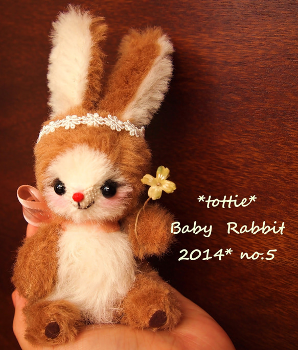 Baby Rabbit　**　tottie  ** 5枚目の画像