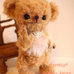 ﾓｺﾓｺｳｰﾙのteddy bear　**　tottie　** 5枚目の画像