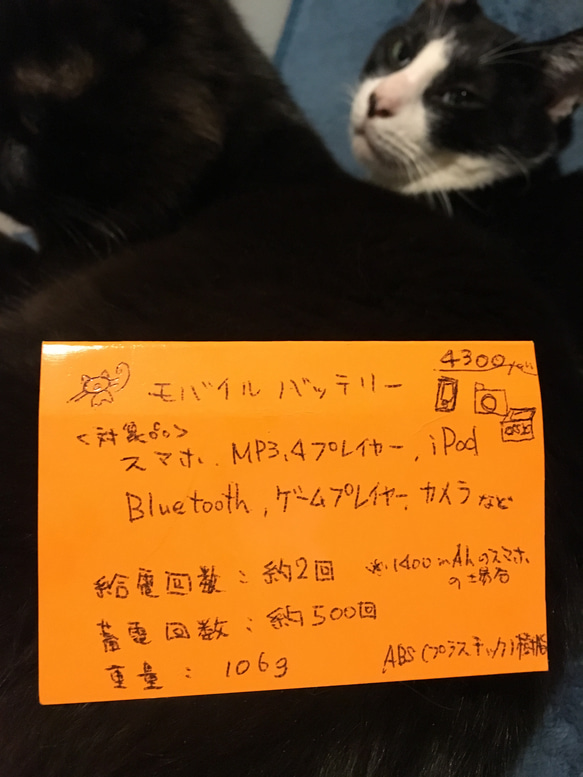 【受注生産】モバイルバッテリー◆LOVE猫 レース 4枚目の画像