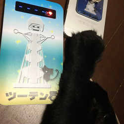 【受注生産】モバイルバッテリー◆ツーテン猫 青空 3枚目の画像