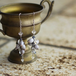 数珠玉（ジュズダマ）とガラスのピアス 1枚目の画像