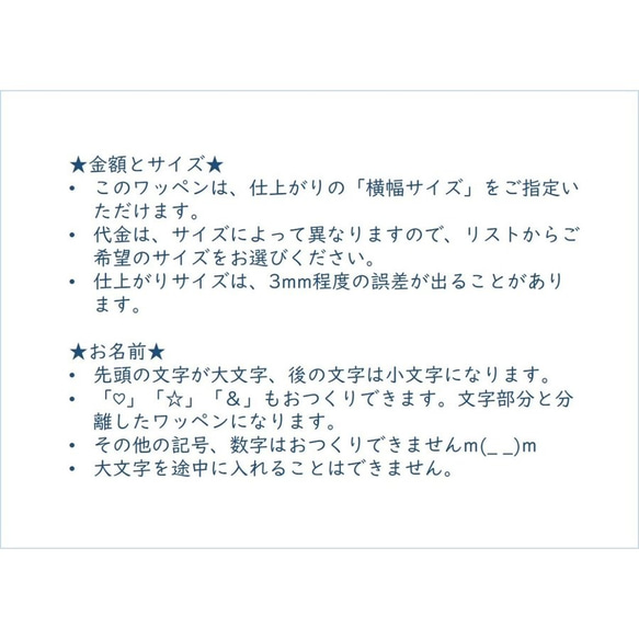 キラキラ アルファベットのお名前ワッペン　7cm～26cm 6枚目の画像