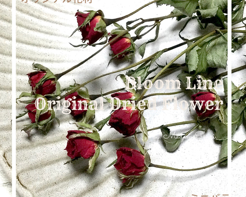 ドライフラワー❇️ミニバラ 長め❣️ バラ入り）Tida Flowerの、ドライフラワーミニスワッグ | ドライ