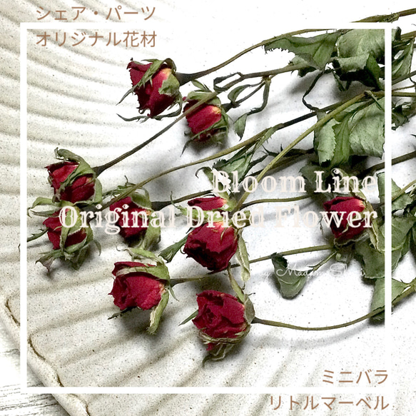 ドライフラワー❇️ミニバラ 長め❣️ バラ入り）Tida Flowerの、ドライフラワーミニスワッグ | ドライ