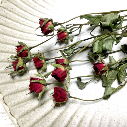 ハンドメイド 花材 ドライフラワー リトルウッズ 薔薇 r-6 薔薇の