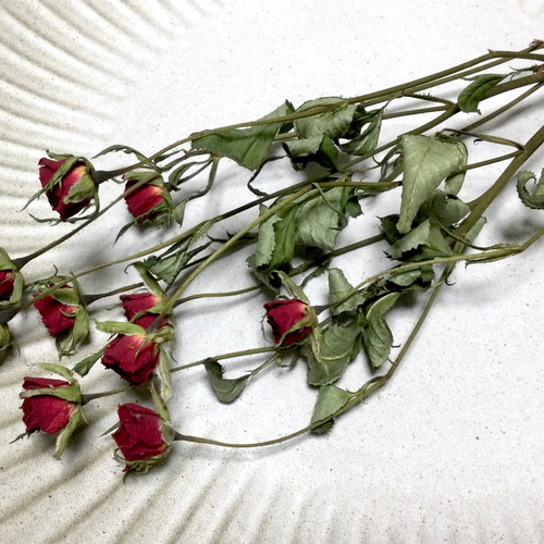 小さめミニバラ リトルマーベル 10輪 自家製 ドライフラワー