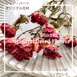 小さめミニバラ リトルマーベル 10輪 自家製 ドライフラワー その他