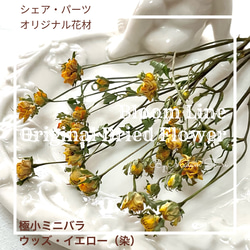 みぃぃ様❁︎オーダー　ハーバリウム°ஐ*。:° みぃぃ様❁︎オーダー ハーバリウム°ஐ*。:°