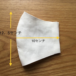 ✳️ 夏マスク☆ 国産リネン&エバークール加工の立体マスク　 大人用　1枚　No.208 2枚目の画像