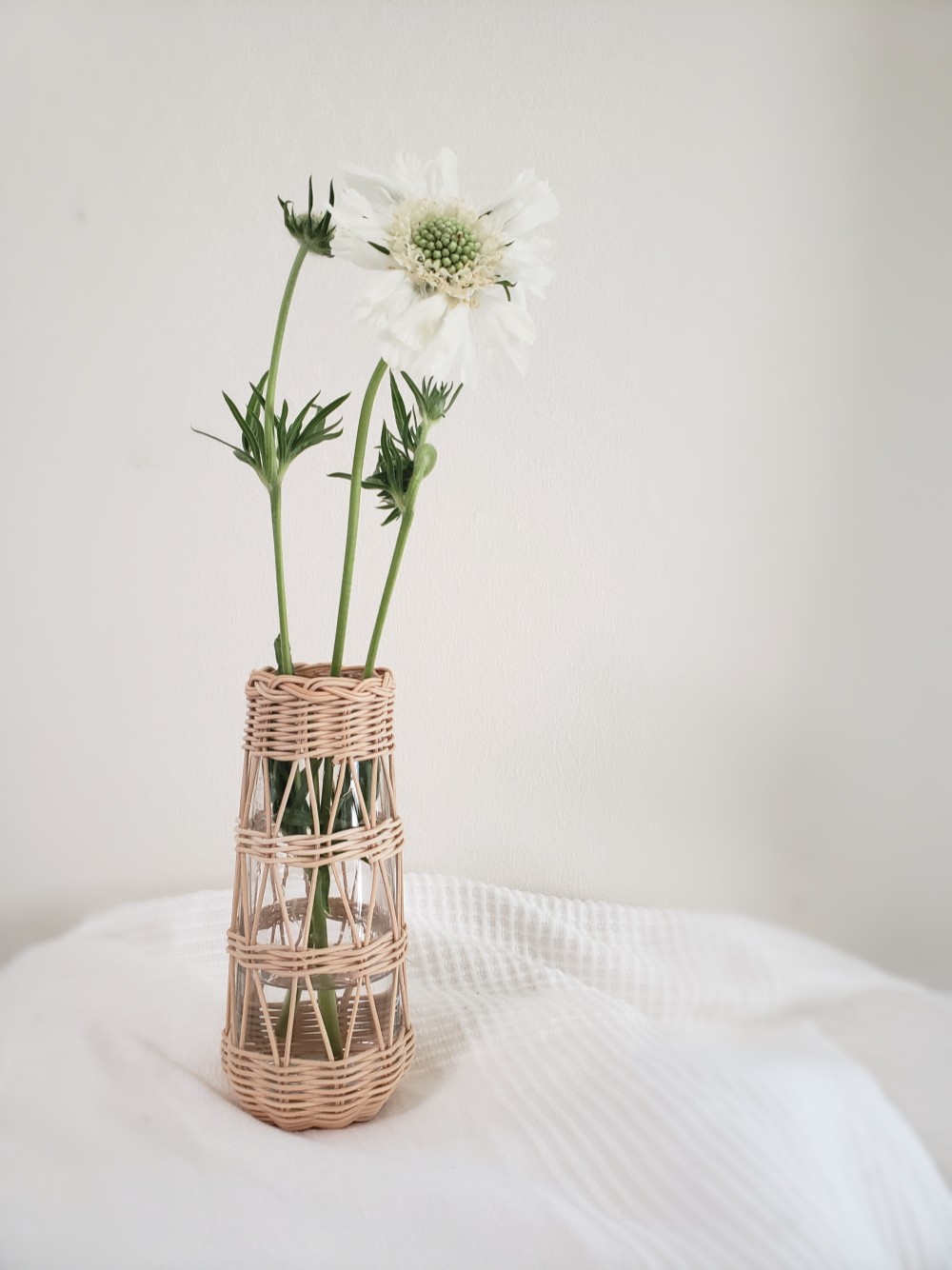 【再出品】イタリア製 一輪挿し 再出品】イタリア製 一輪挿し