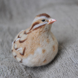 ウズラ置物／鳥類 羊毛 その他素材 アクア 通販 7559312｜Creema(クリーマ)