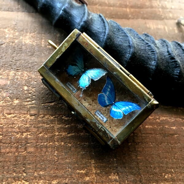 専用ページ　ミニ　蝶 専用ページ　ミニ　蝶