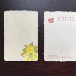 手漉き和紙絵はがき(宛名面印刷あり) 春の山野草 5枚セット 2枚目の画像
