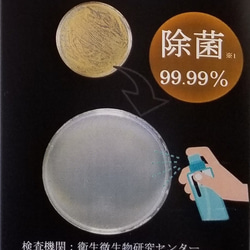 【除菌・消臭・ウイルス対策】おでかけに最適なミニサイズ　森林浴気分　能登ヒバスプレー15ml　 3枚目の画像