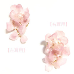 貨真價實的绣球花<Sakura-colored>Ear Cuff(RP-CB-EC) 第3張的照片