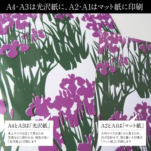 幸せを呼ぶ和モダンアート【しあわせ和柄アートポスター・菖蒲