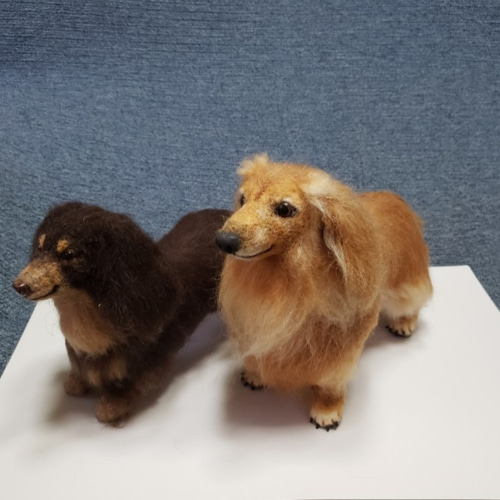 える様　オーダー専用　羊毛フェルト　犬　ミニチュアダックス　パピヨン　ミックス 楽天市場】スターターセット付き ミニチュアダックスフント