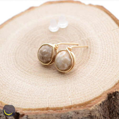 14kgf【フォシルコーラル・フォッシルコーラル・珊瑚