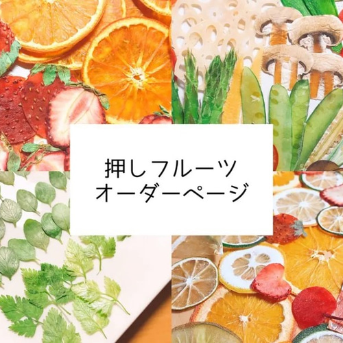 押しフルーツ＊オーダーページ その他素材 N&A＊押しフルーツ 通販