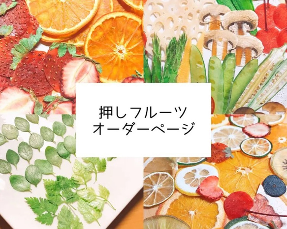 押しフルーツ＊オーダーページ ＊皮 1/2