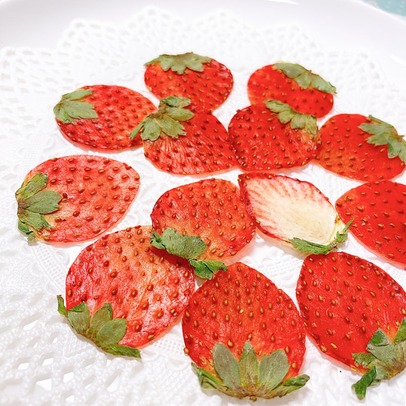 押しフルーツ＊オーダーページ ＊皮 1/2