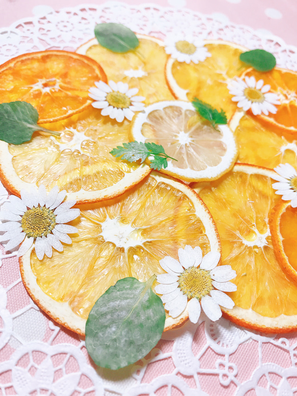 押しフルーツ＊オーダーページ ＊皮 1/2