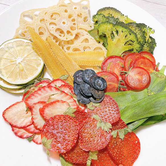 押しフルーツ＊オーダーページ ＊皮 1/2