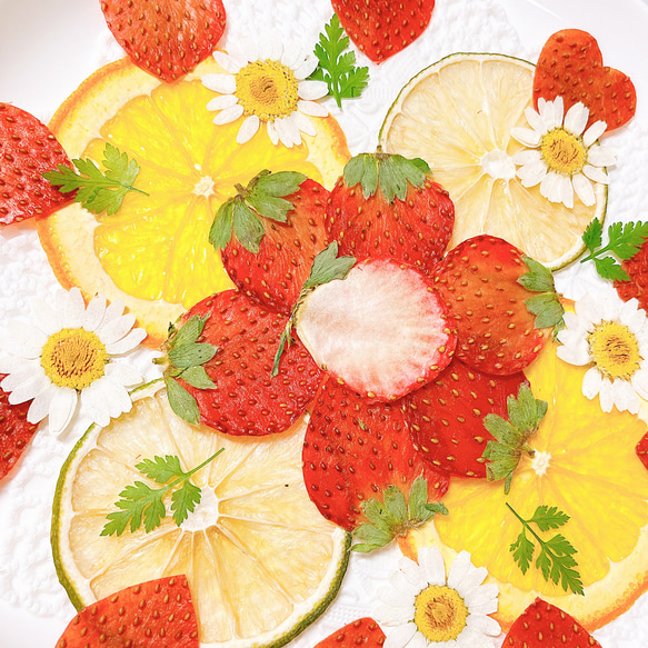 押しフルーツ＊オーダーページ ＊皮 1/2