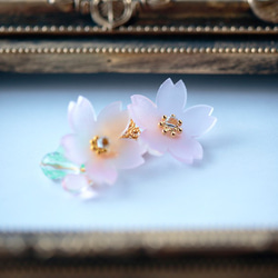 淡く透ける桜のイヤーカフ 5枚目の画像