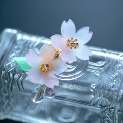 淡く透ける桜のイヤーカフ 8枚目の画像
