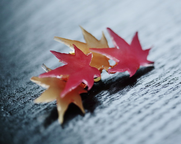 紅葉のイヤーカフ 3枚目の画像