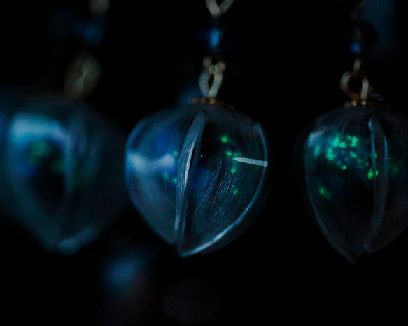 青鬼灯のピアスorイヤリング（夜光蛍ガラス） 3枚目の画像