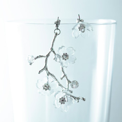 透明桜のピアスorイヤリング 5枚目の画像