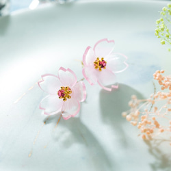 桜の耳飾り（河津桜） 4枚目の画像