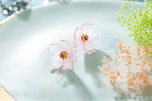 桜の耳飾り（河津桜） 4枚目の画像