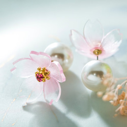 桜の耳飾り（河津桜） 5枚目の画像