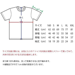 SAKAKI  八咫烏 Tシャツ シルバーグレー 5枚目の画像