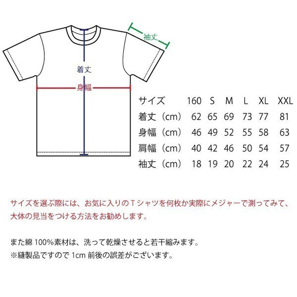 SAKAKI  八咫烏 Tシャツ シルバーグレー 5枚目の画像